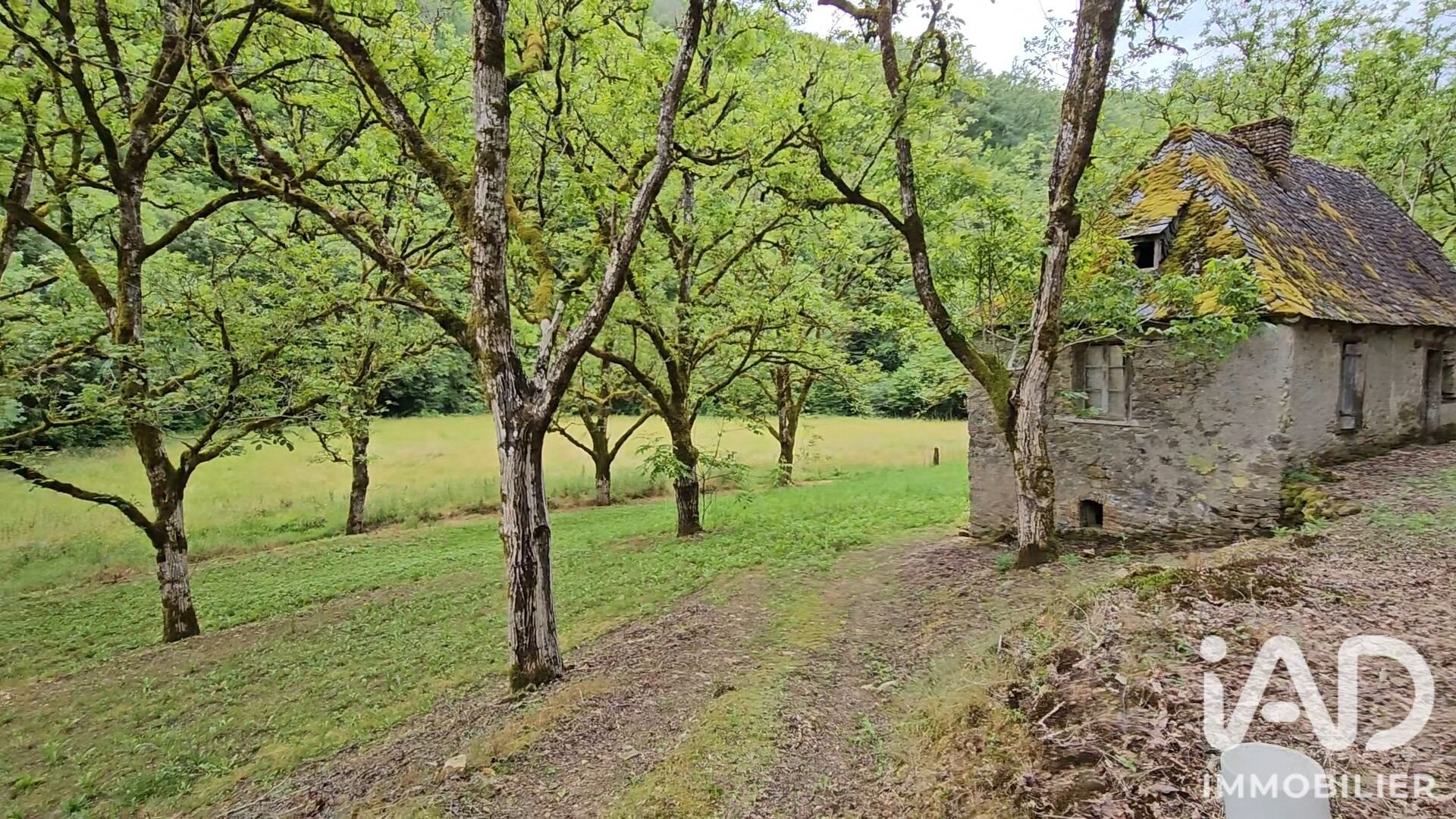 Maison à vendre, 40m², Altillac