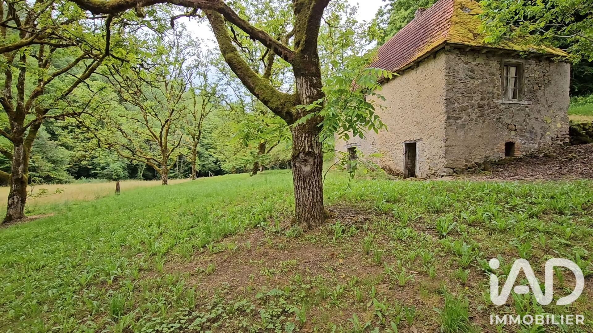 Maison à vendre, 40m², Altillac