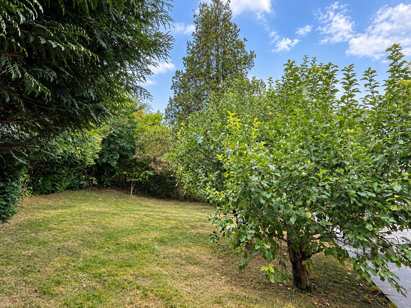 Maison à vendre, 205m², Saint-Germain-en-Laye
