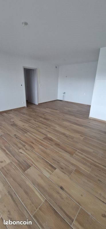 Appartement à vendre, 45m², Metz