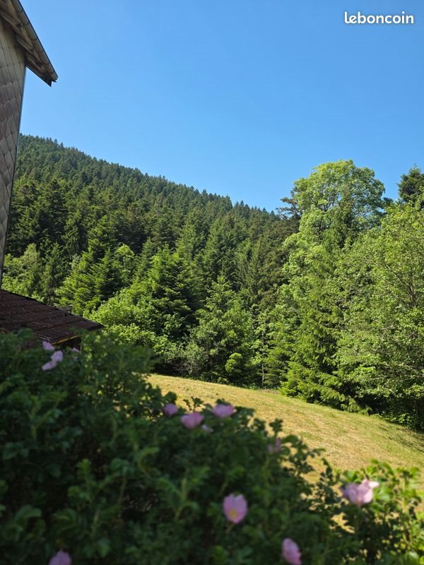 Maison à vendre, 143m², Ventron