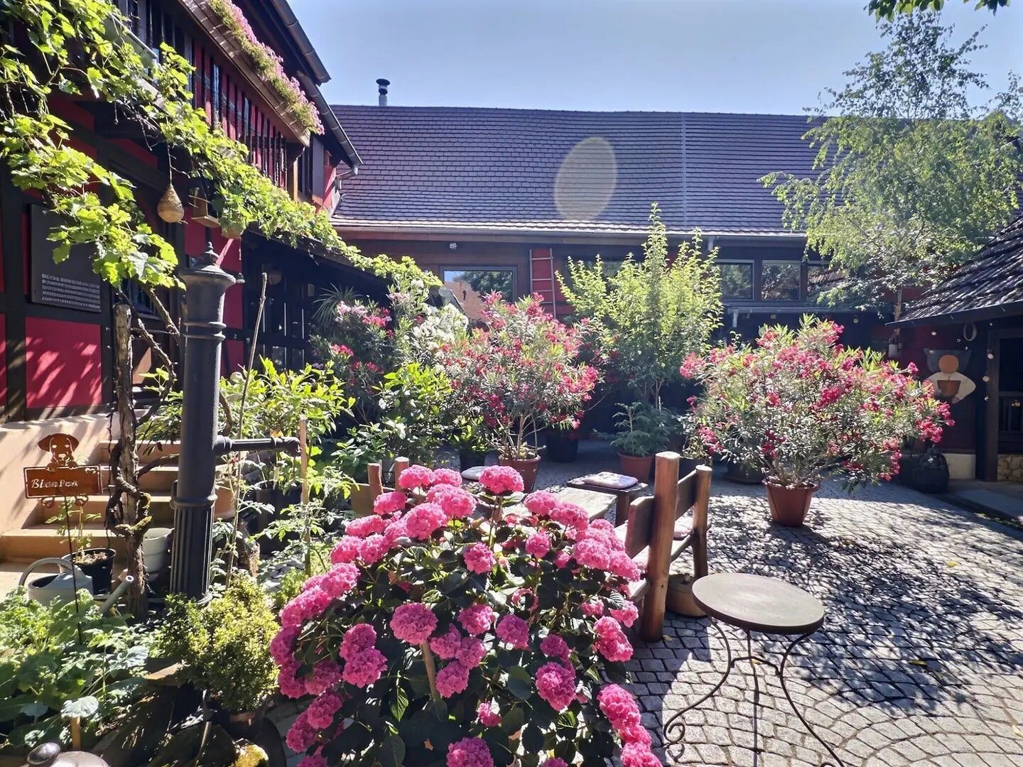 Maison à vendre, 354m², Olwisheim