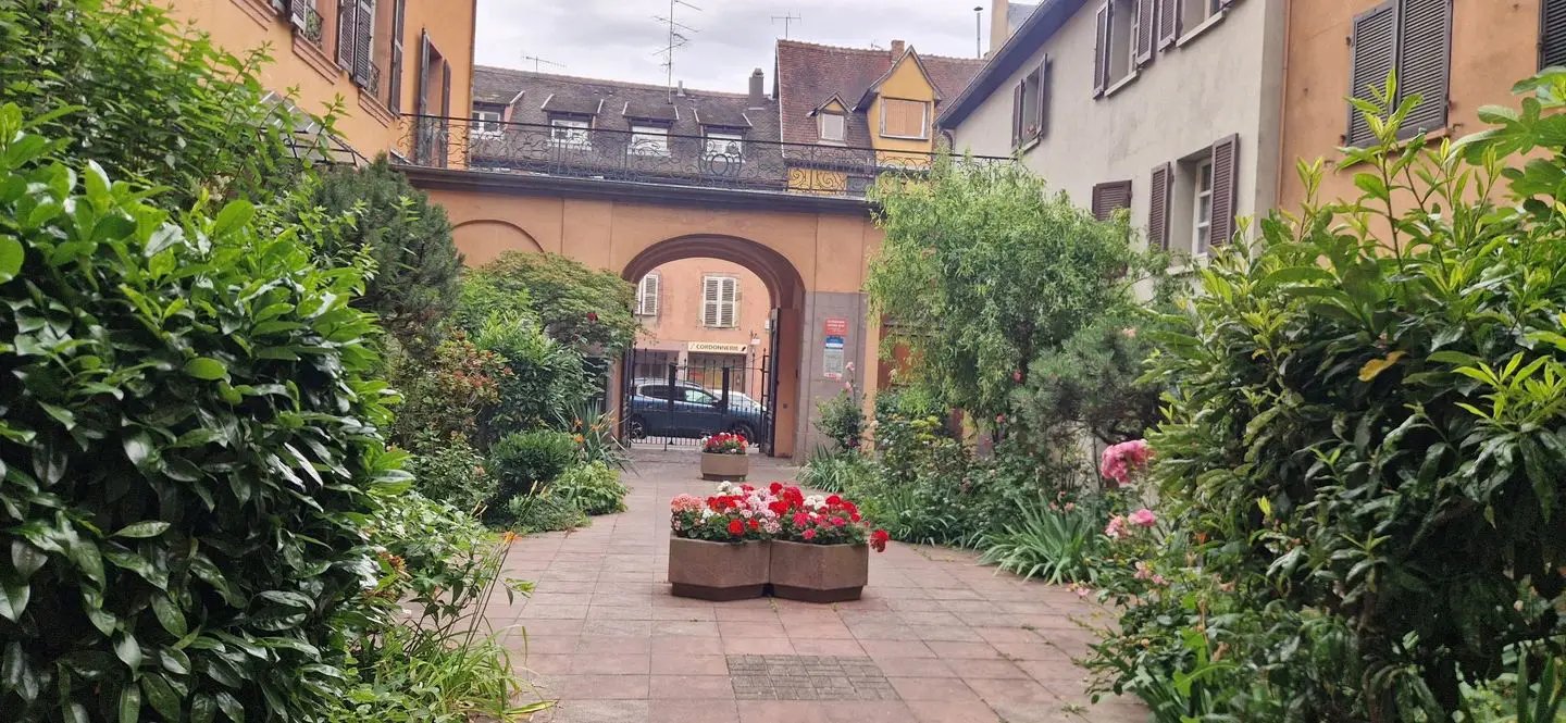 Appartement à vendre, 23m², Colmar