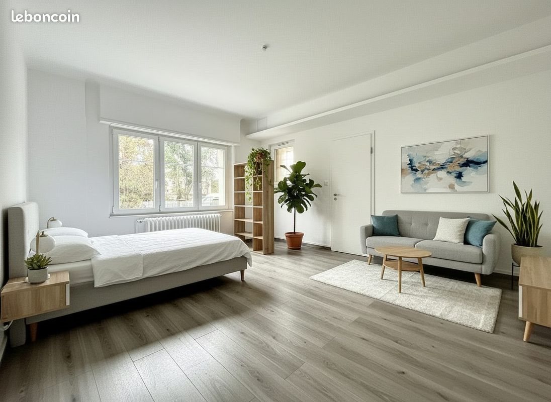 Appartement à louer, 31m², Pfastatt