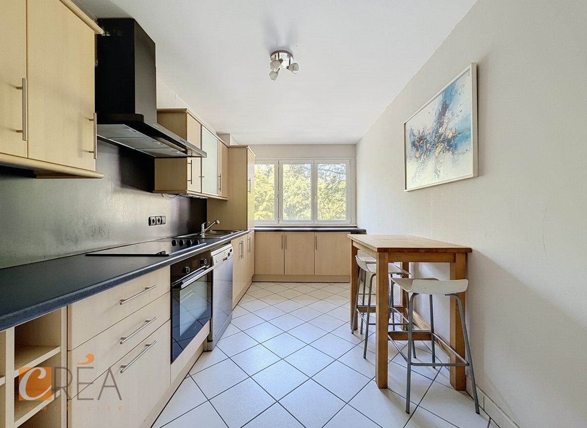 Appartement à louer, 66m², Lutterbach