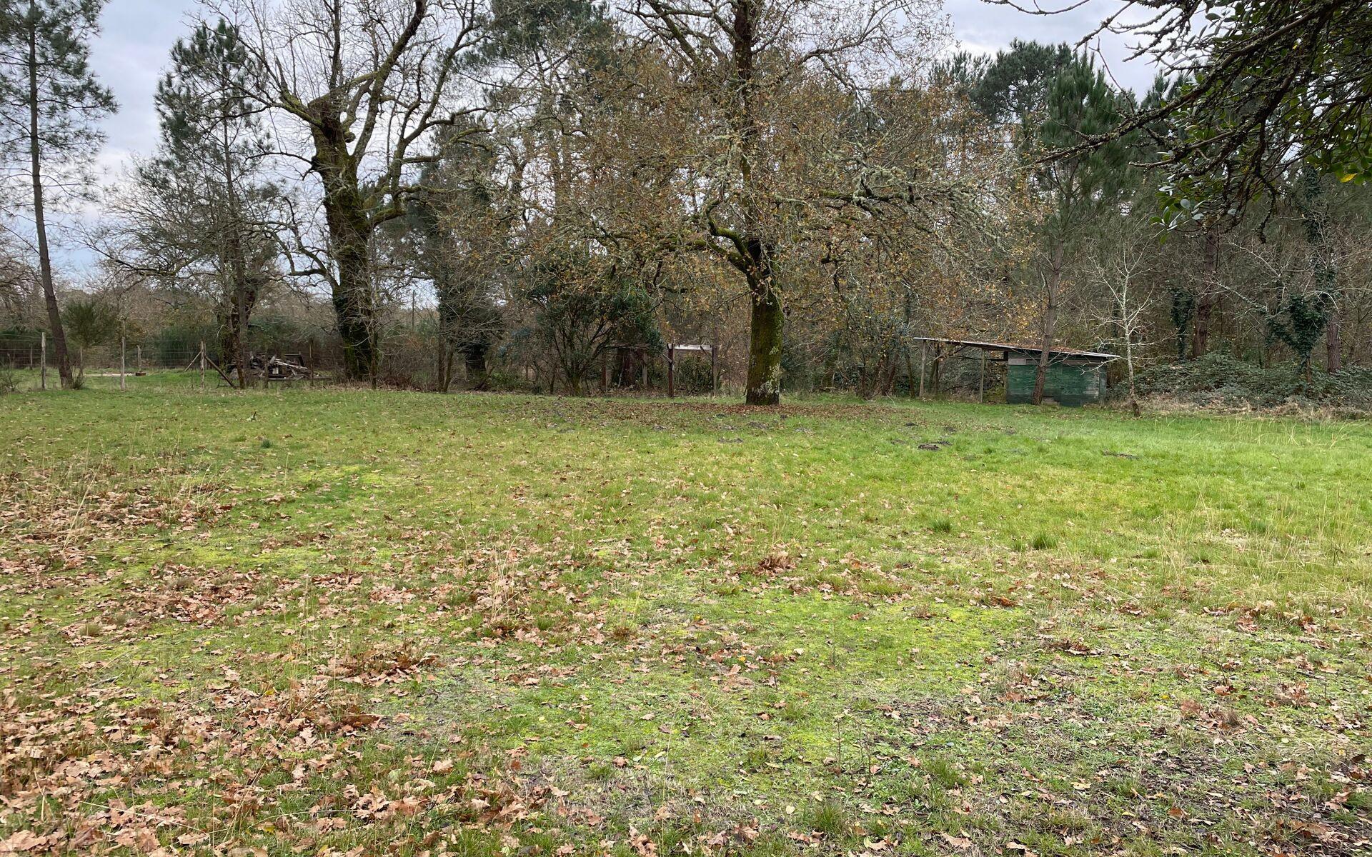 Maison à vendre, 160m², Labouheyre