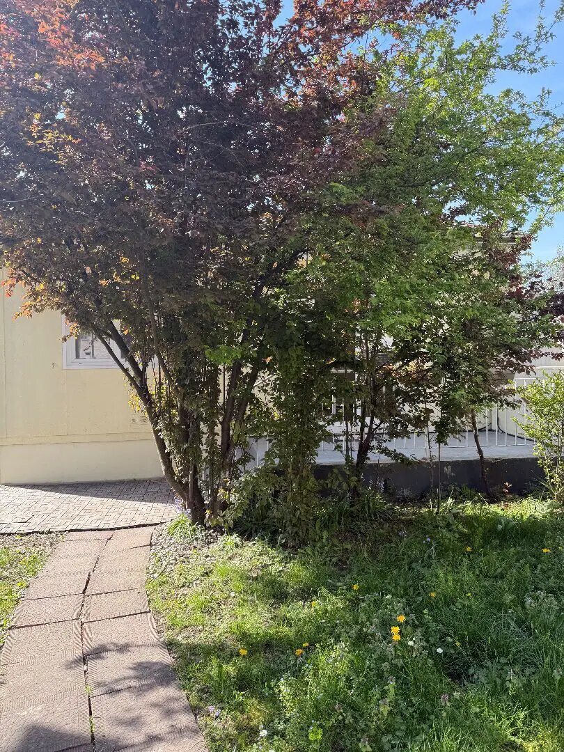 Maison à louer, 45m², Le Blanc-Mesnil