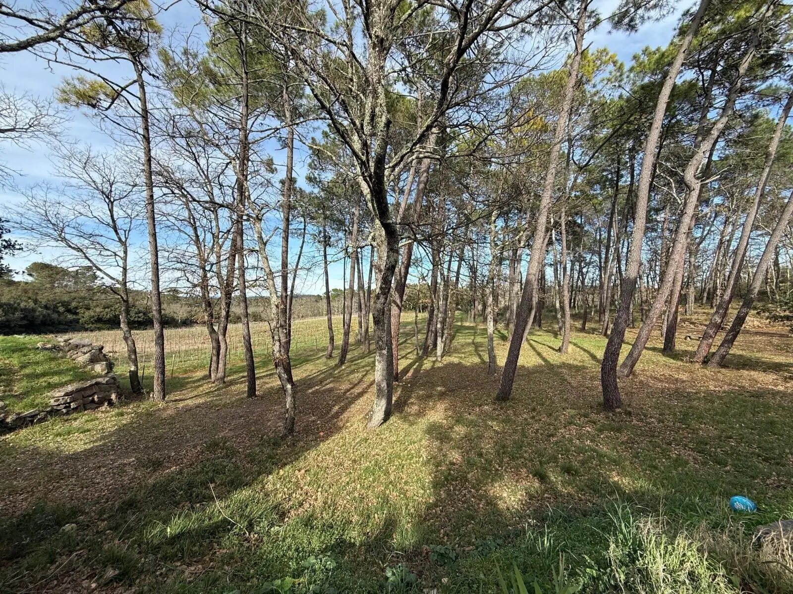 Maison à vendre, 195m², Flassans-sur-Issole