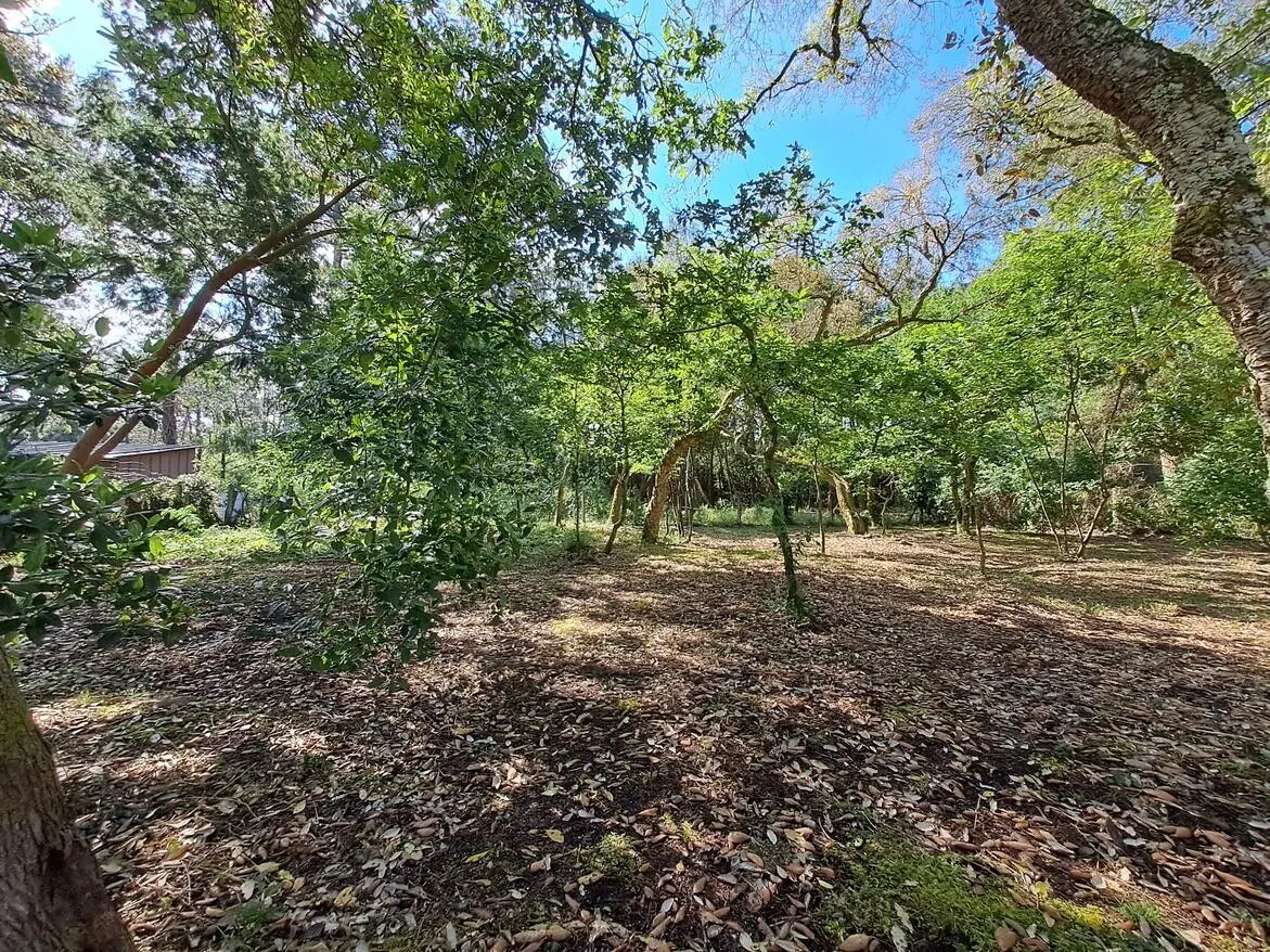 Maison à vendre, 185m², Labenne