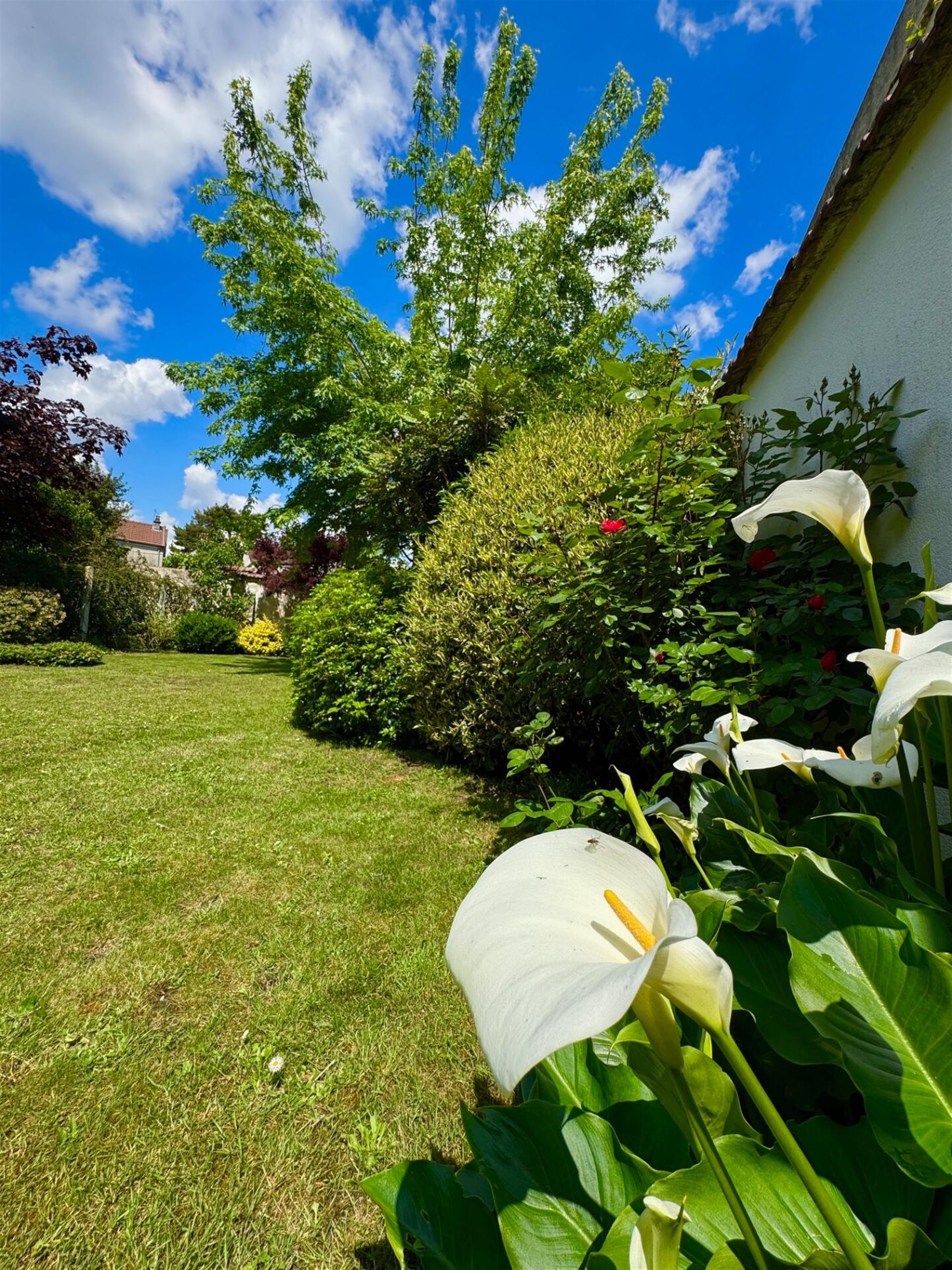 Maison à vendre, 125m², Le Raincy