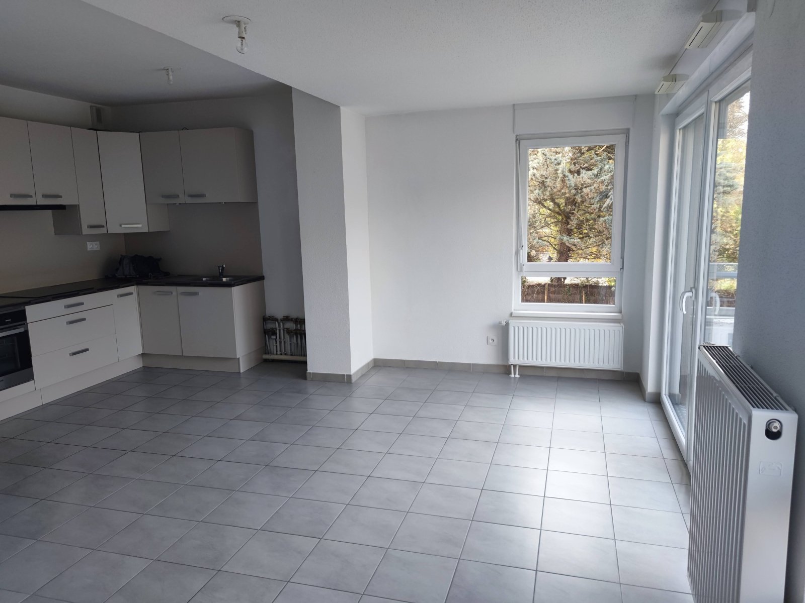 Appartement à louer, 65m², Hégenheim