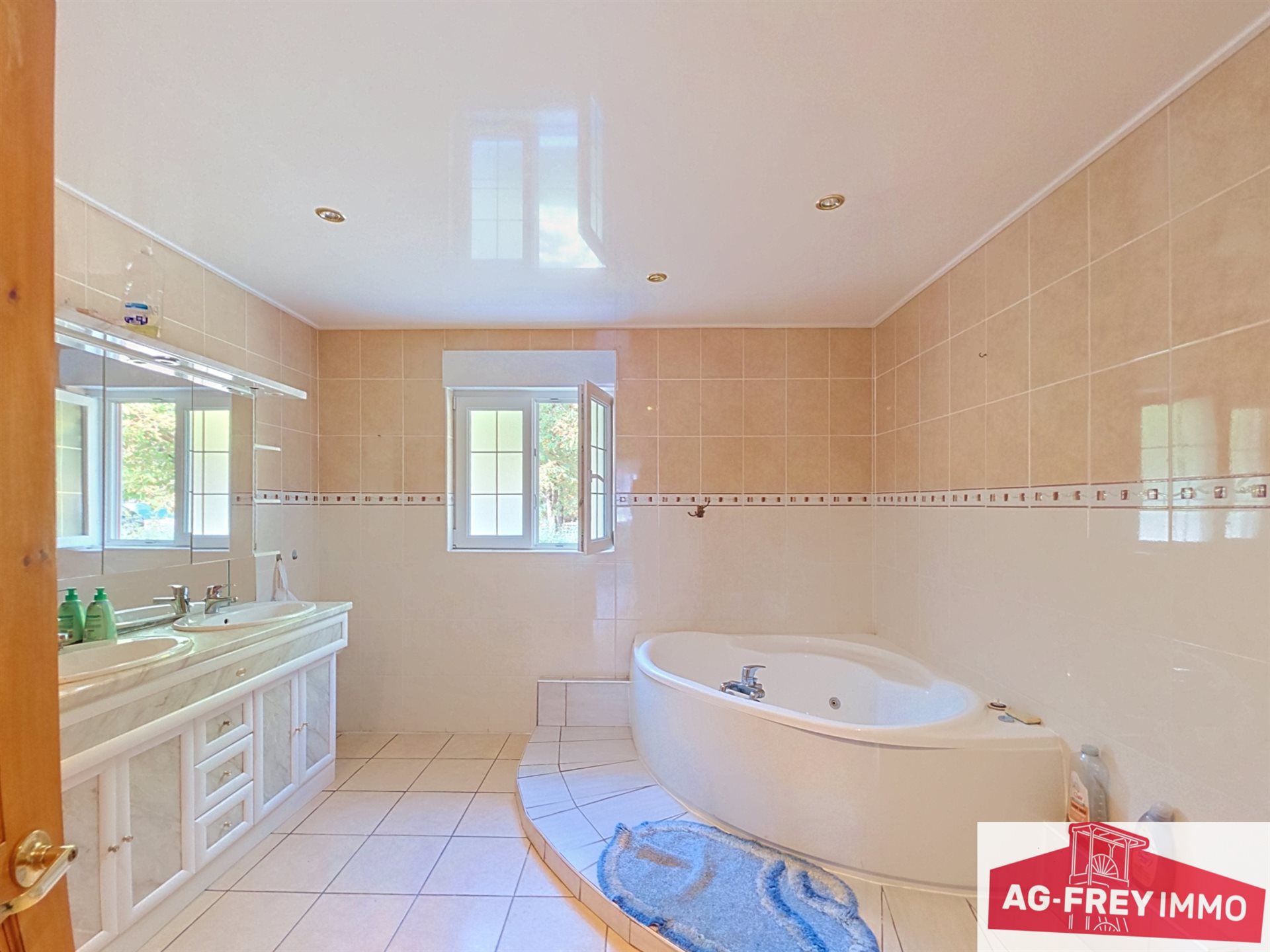 Maison à vendre, 208m², Wittenheim