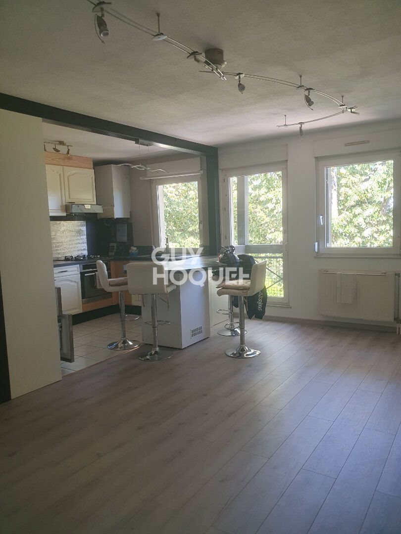 Appartement à vendre, 47m², Mulhouse