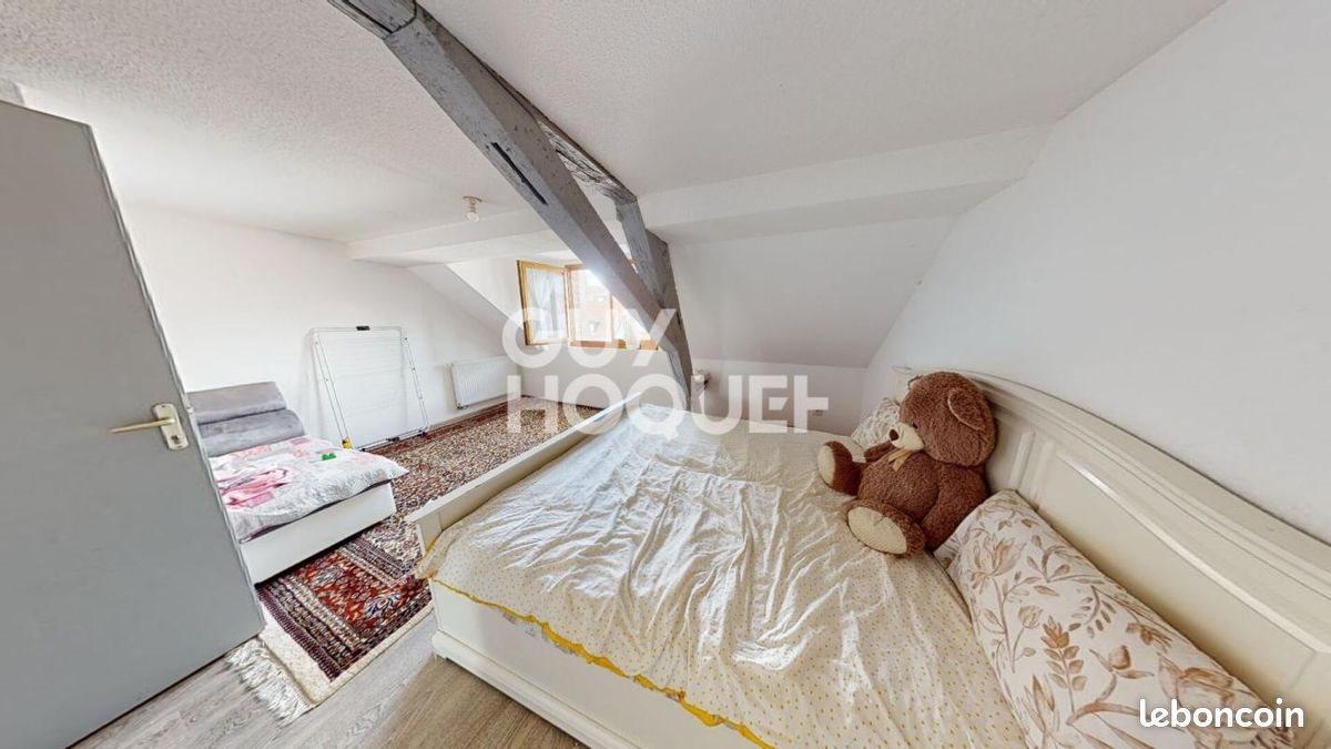 Appartement à vendre, 220m², Mulhouse