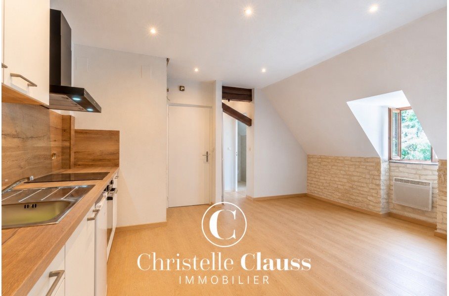 Appartement à louer, 33m², Thann