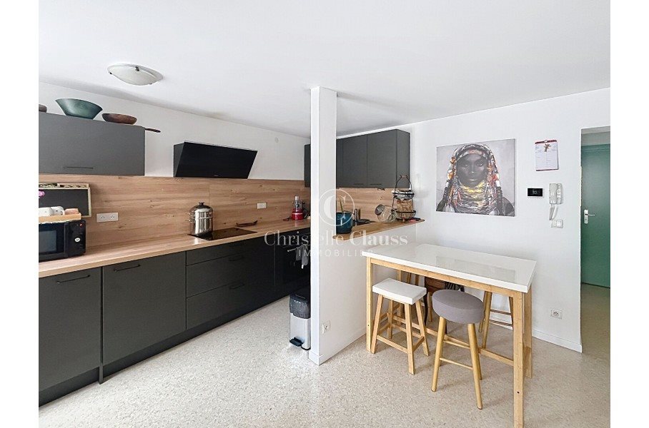 Appartement à louer, 45m², Colmar