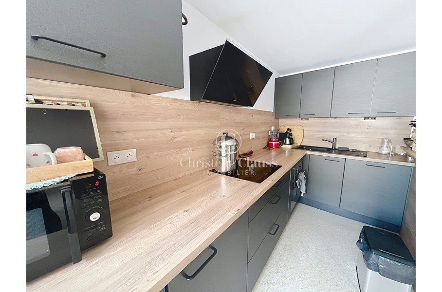 Appartement à louer, 45m², Colmar