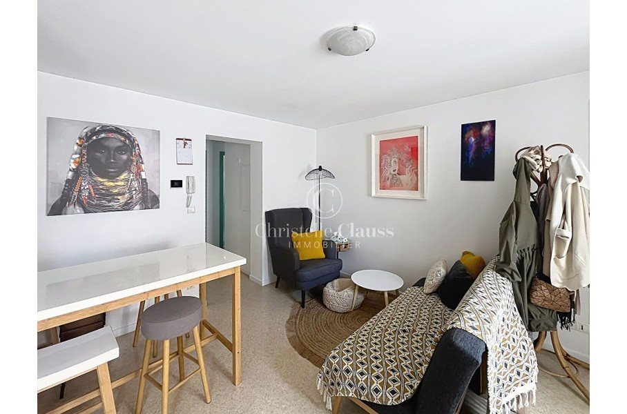 Appartement à louer, 45m², Colmar