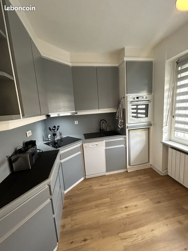 Appartement à louer, 46m², Wittenheim