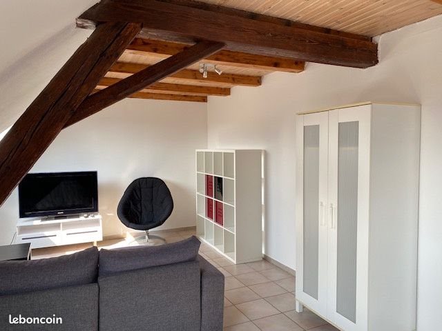 Appartement à louer, 34m², Bartenheim
