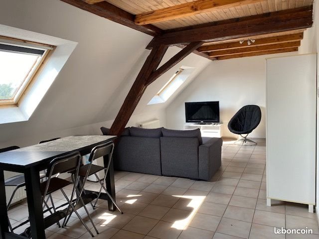 Appartement à louer, 34m², Bartenheim