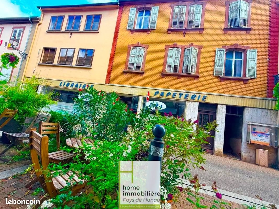 Maison à vendre, 500m², Bouxwiller