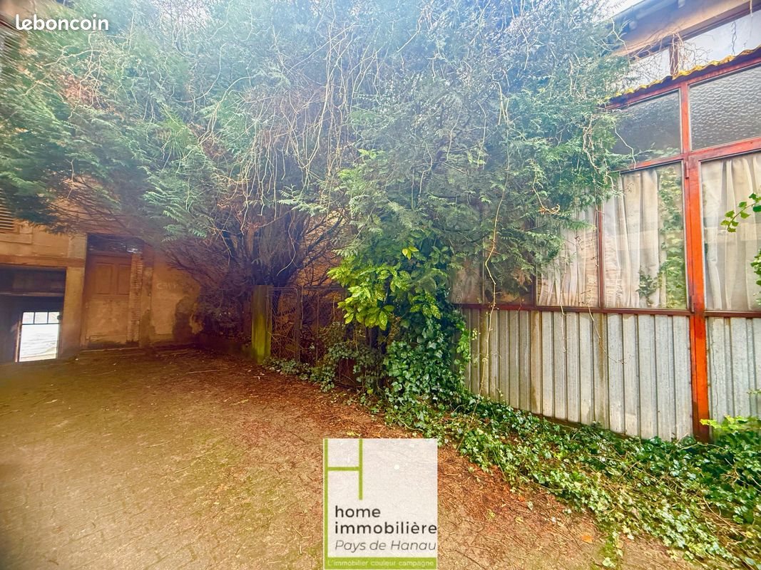 Maison à vendre, 500m², Bouxwiller