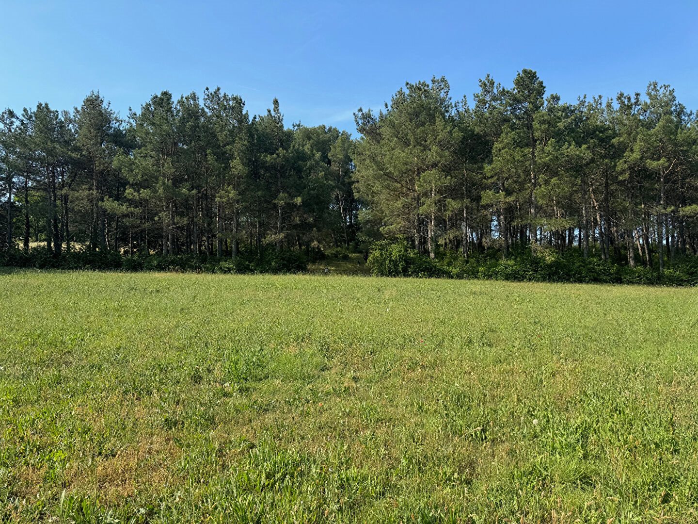 Maison à vendre, 270m², Aix-en-Provence