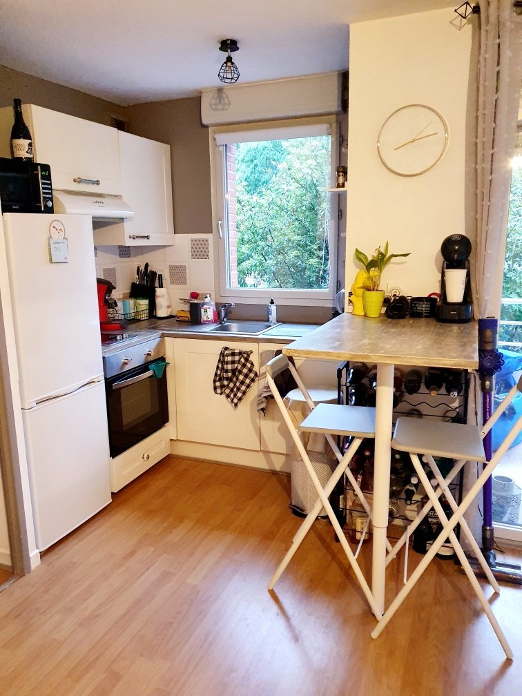 Appartement à vendre, 41m², Toulouse