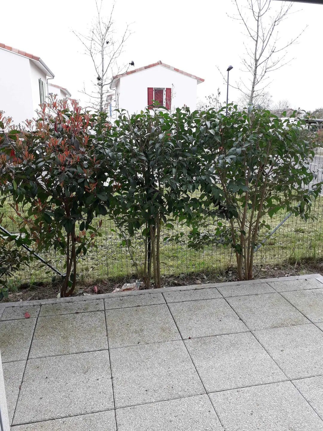 Appartement à louer, 28m², Toulouse