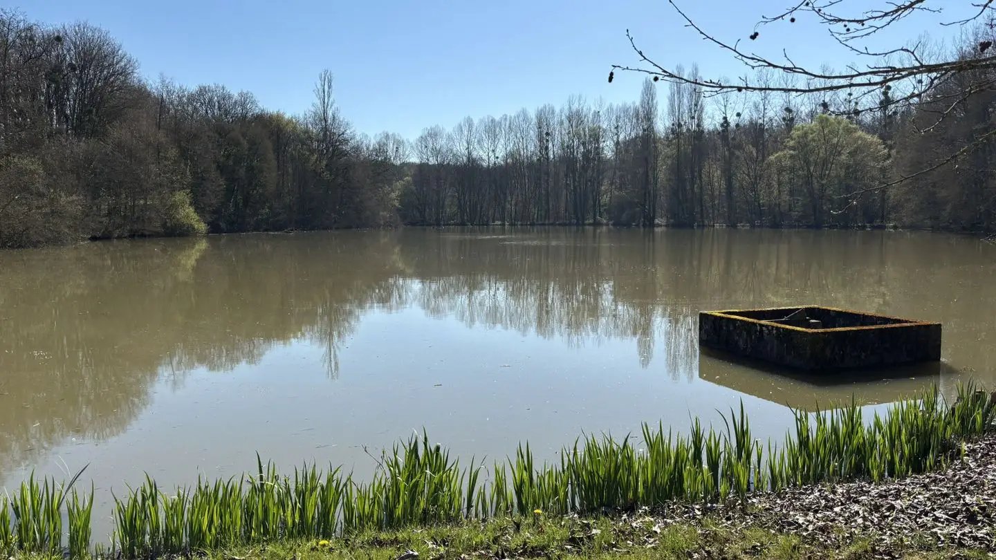 Maison à vendre, 322m², Orbigny