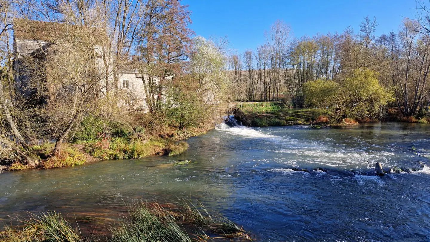 Maison à vendre, 629m², Reignac-sur-Indre