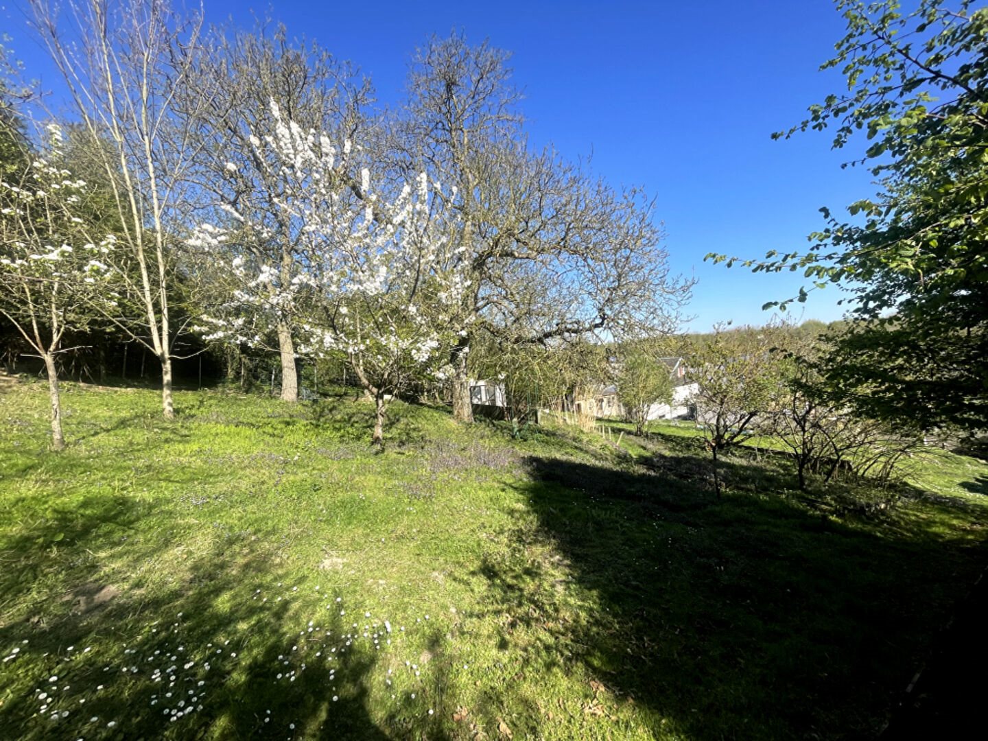 Maison à vendre, 174m², Thenelles