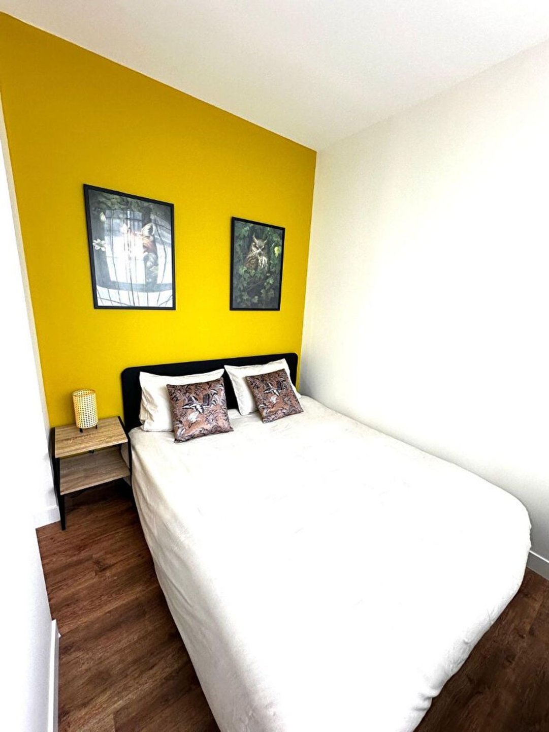 Appartement à louer, 19m², Saint-Quentin