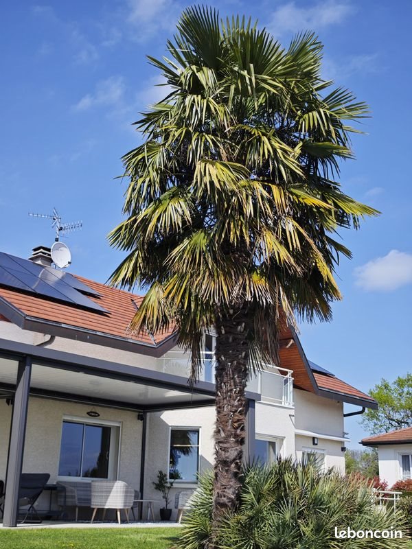 Maison à vendre, 182m², Cessy