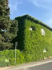 Appartement à louer, 30m², Montpellier