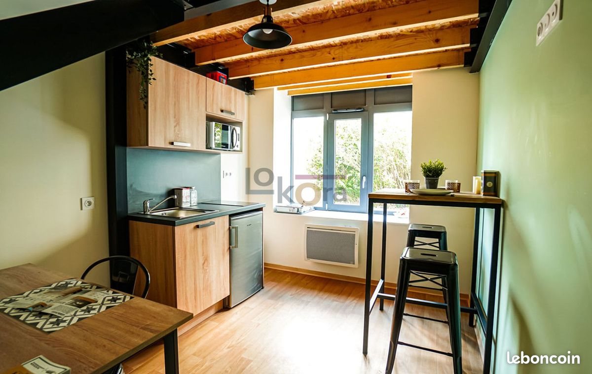 Appartement à louer, 25m², Saint-Etienne