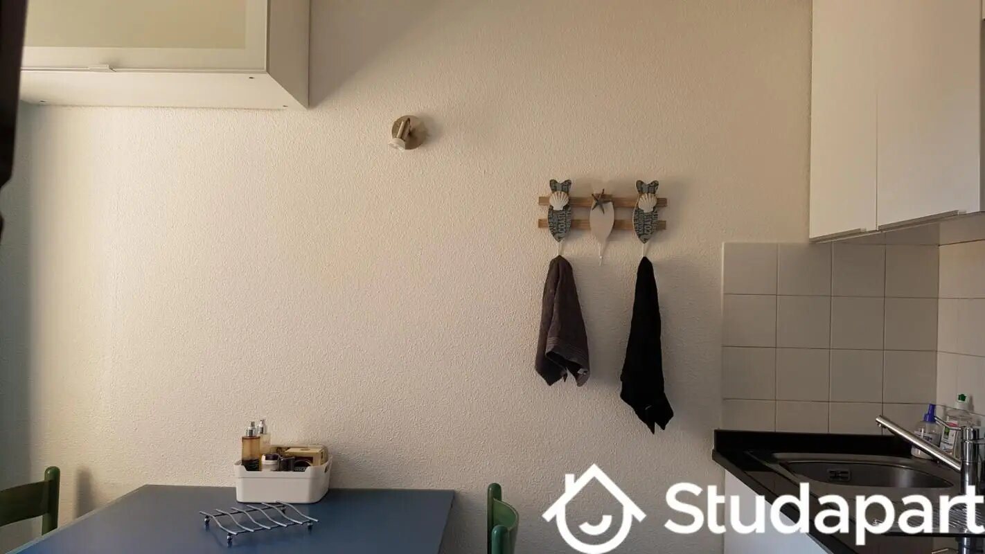 Appartement à louer, 20m², Nice