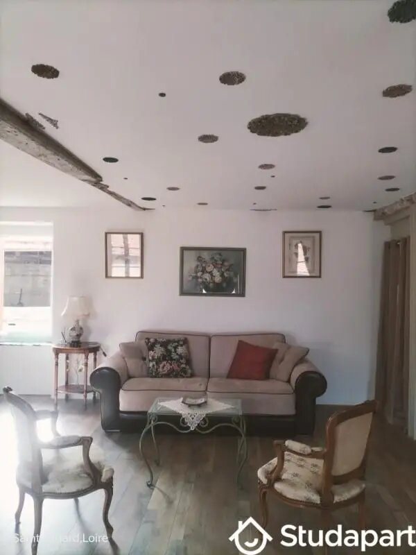 Appartement à louer, 50m², Saint-Jodard
