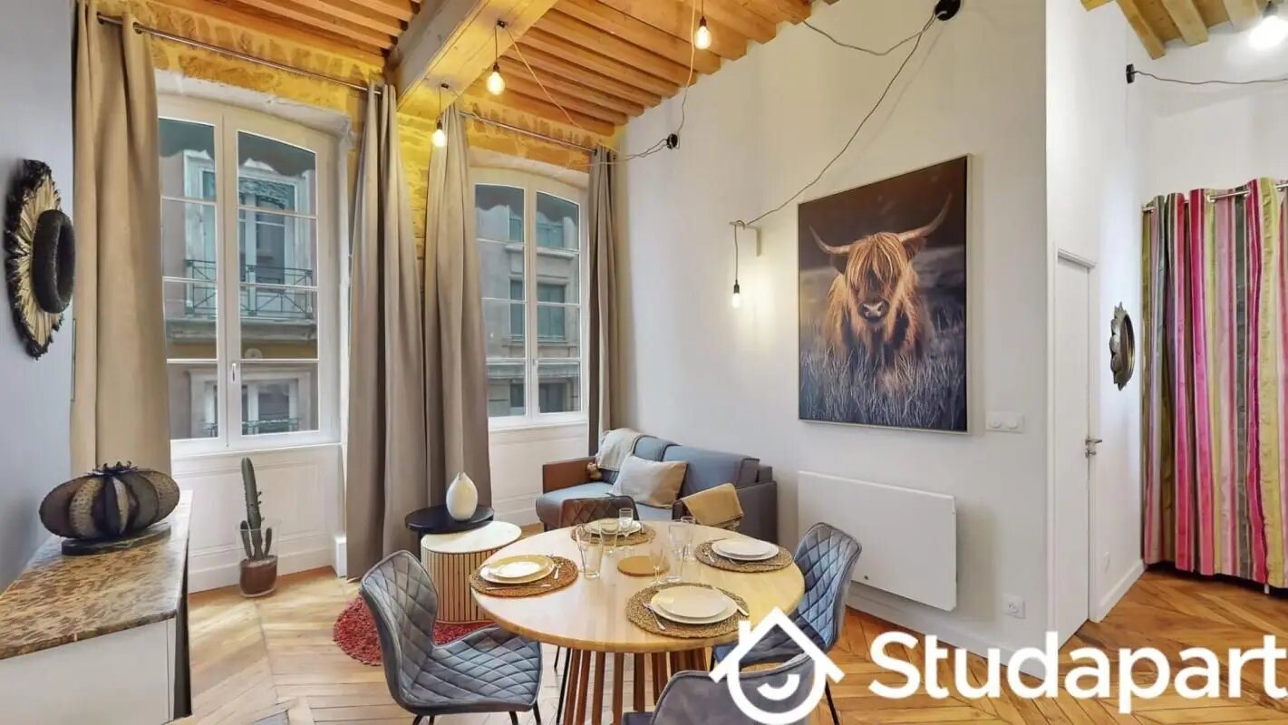 Appartement à louer, 45m², Lyon 1er