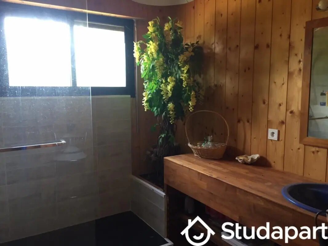 Maison à louer, 60m², Vezin-le-Coquet
