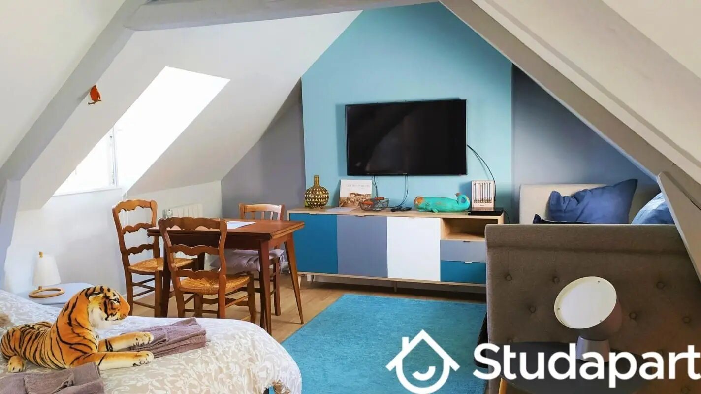 Appartement à louer, 25m², Orléans