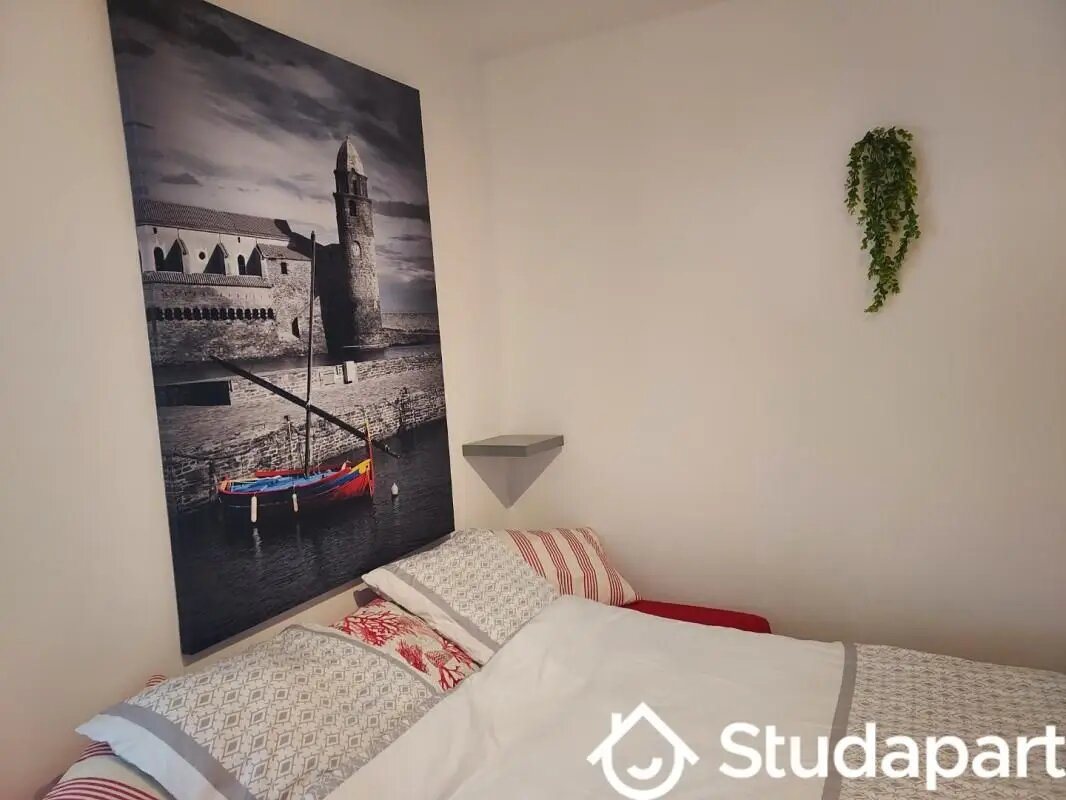 Appartement à louer, 20m², Canet-en-Roussillon