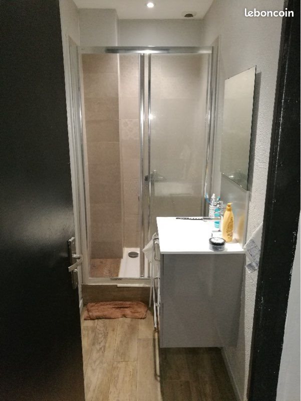 Appartement à louer, 37m², Saint-Étienne
