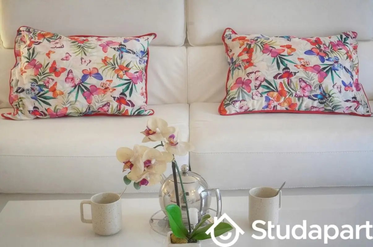 Appartement à louer, 25m², Cannes