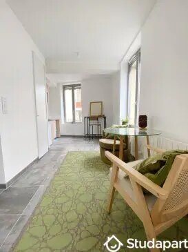 Appartement à louer, 27m², Villeurbanne