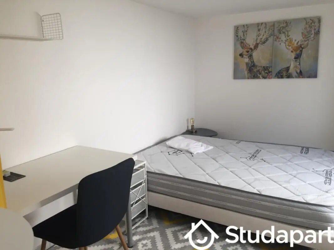 Appartement à louer, 25m², Angers