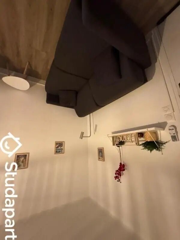 Appartement à louer, 23m², Argelès-sur-Mer