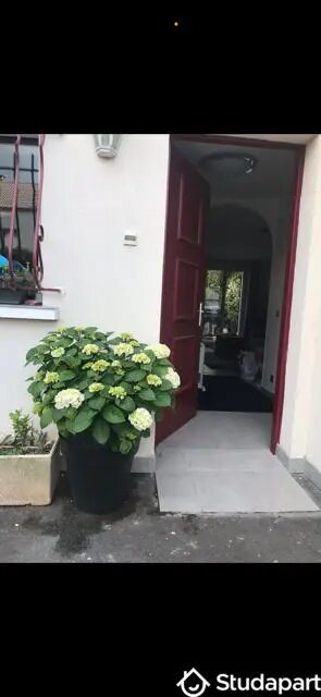 Appartement à louer, 13m², Cergy