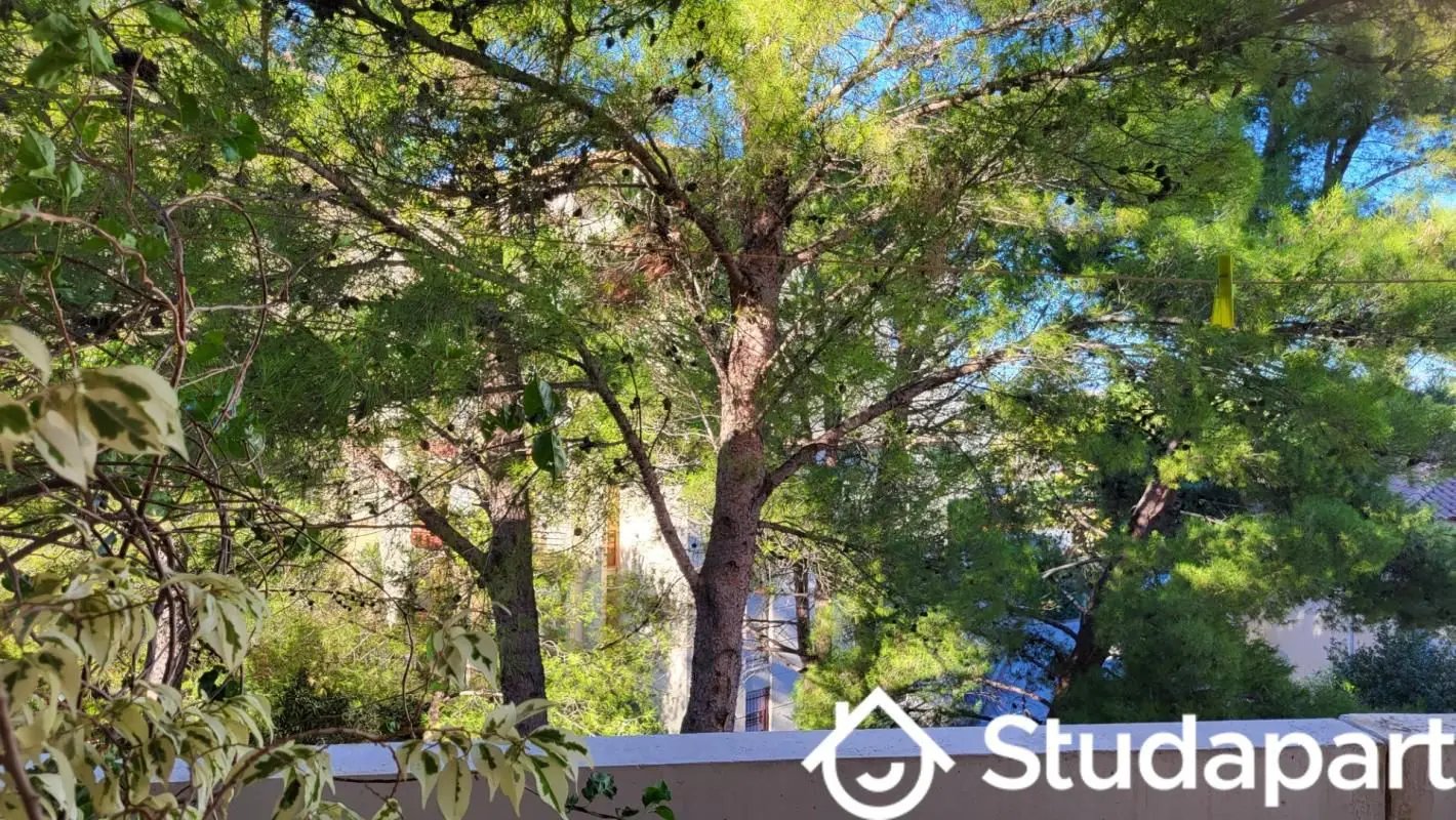 Appartement à louer, 11m², Montpellier
